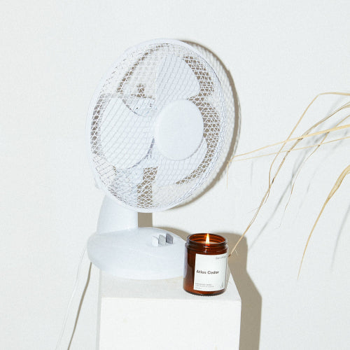 Atlas Cedar | 170ml Candle