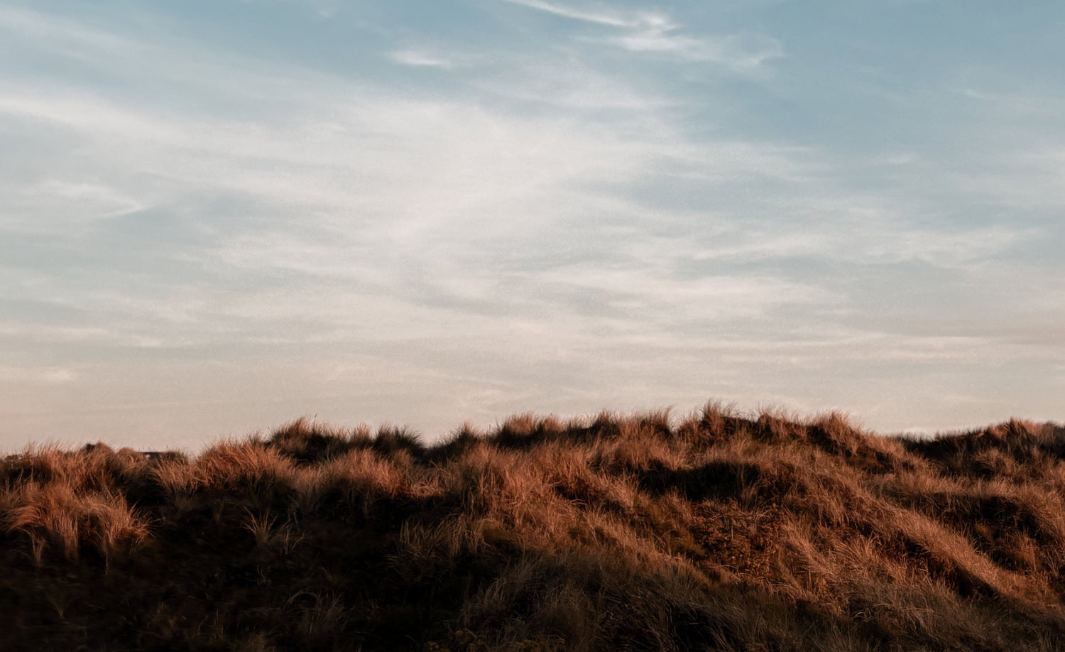 Norfolk Beach | Dunes