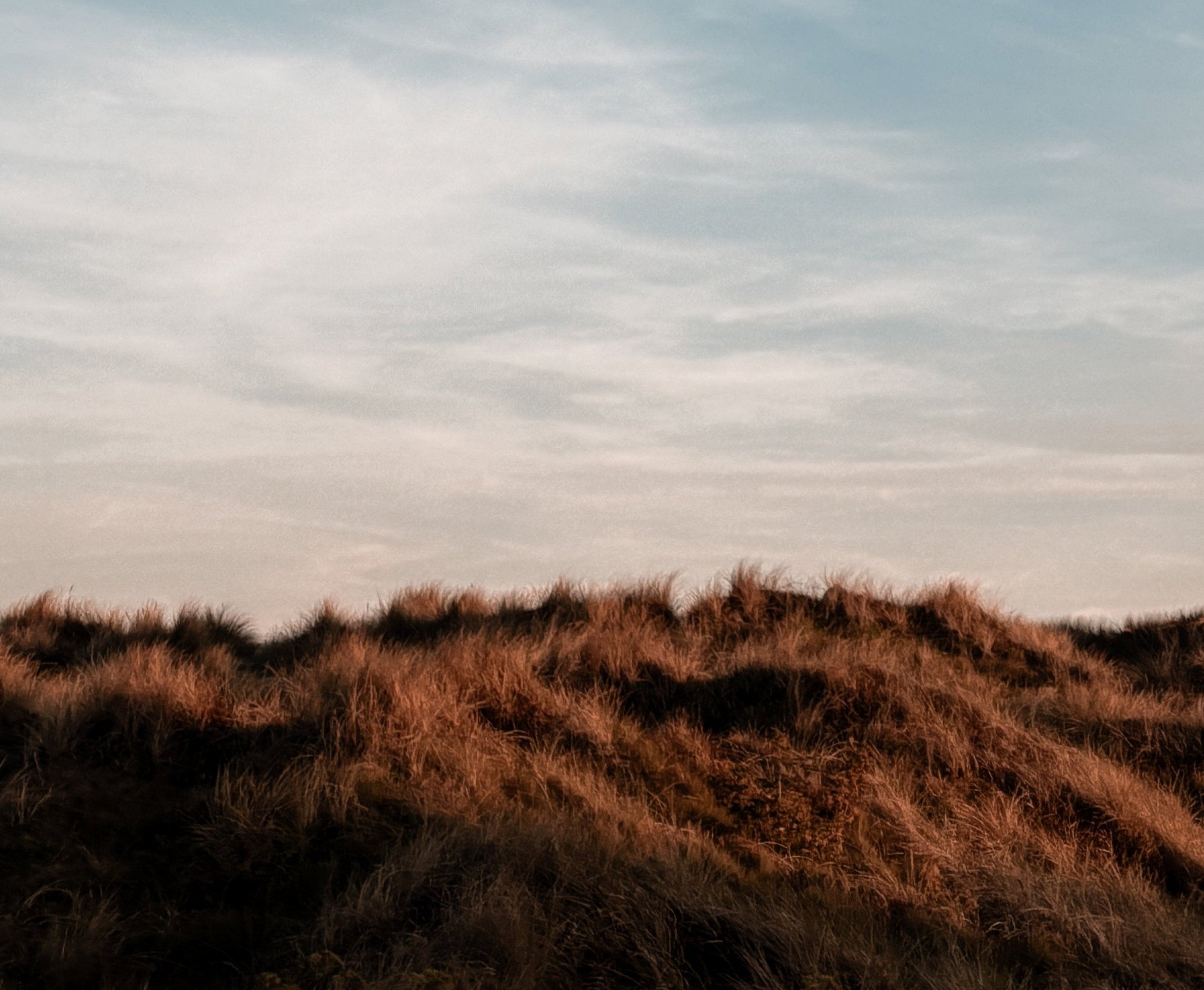 Norfolk Beach | Dunes